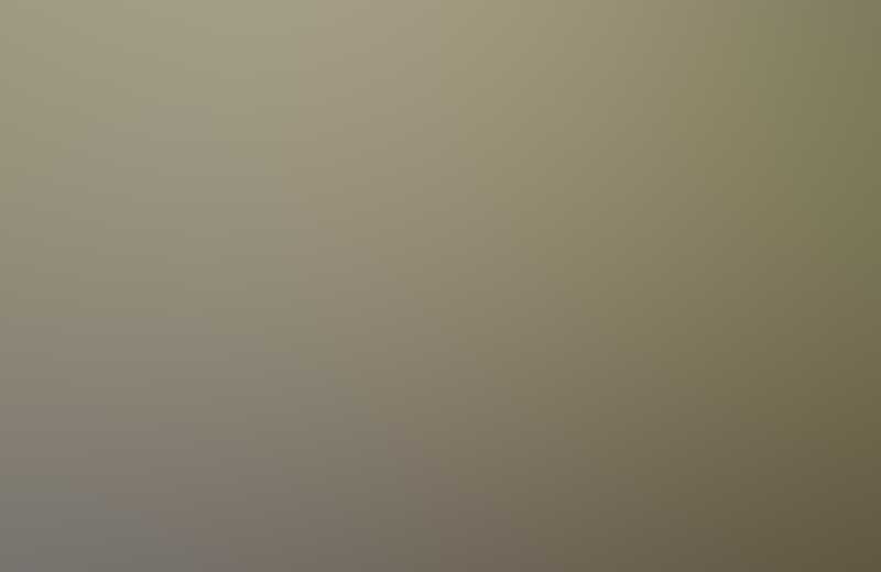 Free Bootstrap Template by ProBootstrap.com